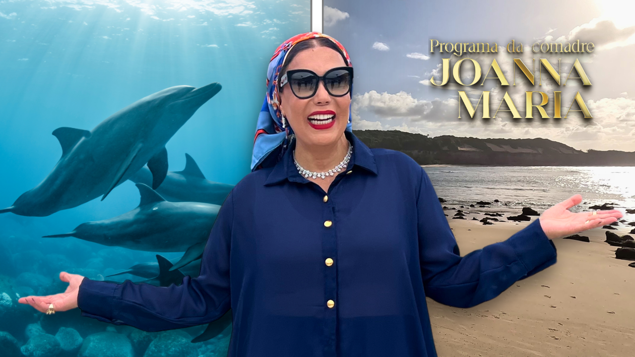 🐬 NADANDO COM GOLFINHOS NO PARAÍSO DE PIPA! ✨